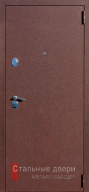Входные двери с порошковым напылением в Истре «Двери с порошком»